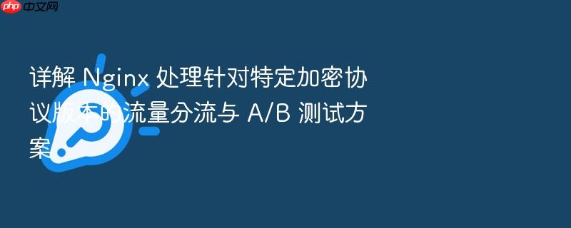 详解 nginx 处理针对特定加密协议版本的流量分流与 a/b 测试方案