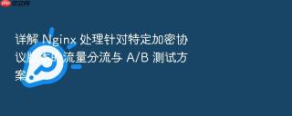 详解 nginx 处理针对特定加密协议版本的流量分流与 a/b 测试方案