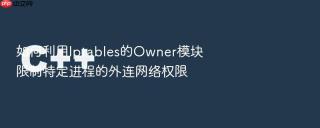 如何利用Iptables的Owner模块限制特定进程的外连网络权限