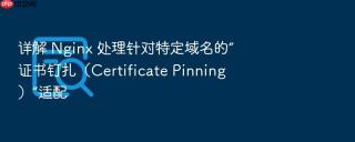 详解 nginx 处理针对特定域名的“证书钉扎（certificate pinning）”适配