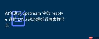 如何通过 upstream 中的 resolve 调优 dns 动态解析后端集群节点