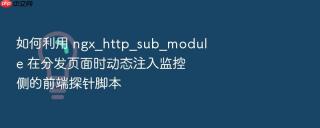 如何利用 ngx_http_sub_module 在分发页面时动态注入监控侧的前端探针脚本