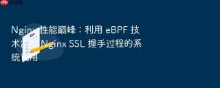 nginx 性能巅峰:利用 ebpf 技术监控 nginx ssl 握手过程的系统调用