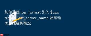 如何通过 log_format 引入 $upstream_last_server_name 监控动态后端解析情况