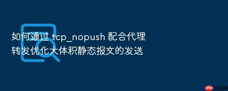 如何通过 tcp_nopush 配合代理转发优化大体积静态报文的发送