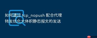 如何通过 tcp_nopush 配合代理转发优化大体积静态报文的发送