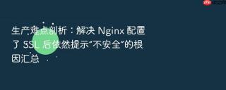 生产难点剖析：解决 nginx 配置了 ssl 后依然提示“不安全”的根因汇总