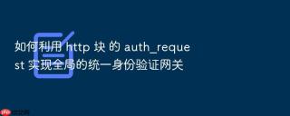 如何利用 http 块 的 auth_request 实现全局的统一身份验证网关