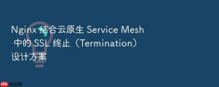 nginx 结合云原生 service mesh 中的 ssl 终止（termination）设计方案