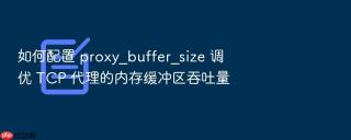 如何配置 proxy_buffer_size 调优 tcp 代理的内存缓冲区吞吐量