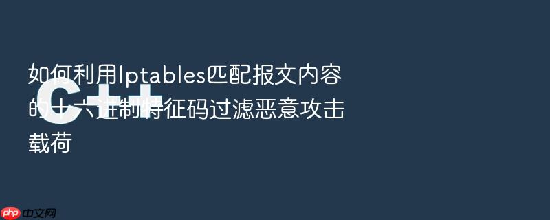 如何利用iptables匹配报文内容的十六进制特征码过滤恶意攻击载荷