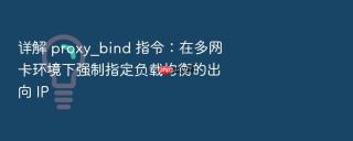 详解 proxy_bind 指令:在多网卡环境下强制指定负载均衡的出向 ip