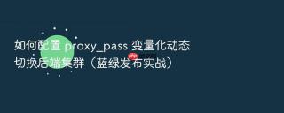 如何配置 proxy_pass 变量化动态切换后端集群（蓝绿发布实战）