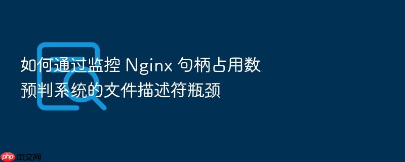 如何通过监控 nginx 句柄占用数预判系统的文件描述符瓶颈