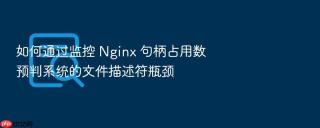 如何通过监控 nginx 句柄占用数预判系统的文件描述符瓶颈