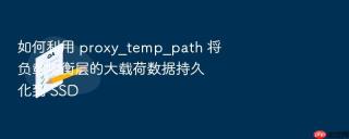 如何利用 proxy_temp_path 将负载均衡层的大载荷数据持久化到 ssd