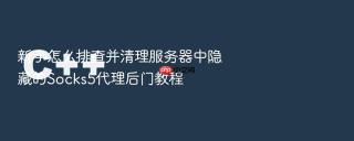 新手怎么排查并清理服务器中隐藏的Socks5代理后门教程