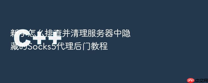 新手怎么排查并清理服务器中隐藏的socks5代理后门教程