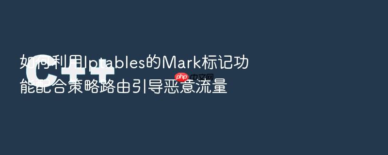 如何利用iptables的mark标记功能配合策略路由引导恶意流量