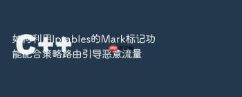 如何利用Iptables的Mark标记功能配合策略路由引导恶意流量