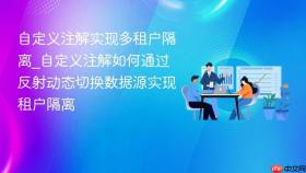 自定义注解实现多租户隔离_自定义注解如何通过反射动态切换数据源实现租户隔离