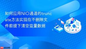 如何应用nio通道的truncate方法实现在不删除文件前提下清空变量数据