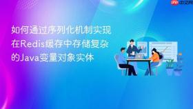 如何通过序列化机制实现在redis缓存中存储复杂的java变量对象实体