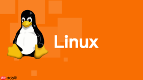 如何在linux利用tcpdump捕获包含vlan-tag的报文定位由于交换机配置错误的异常
