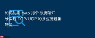 如何利用 map 指令 根据端口号实现 tcp/udp 的多业务逻辑转发