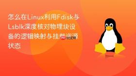怎么在linux利用fdisk与lsblk深度核对物理块设备的逻辑映射与挂载资源状态