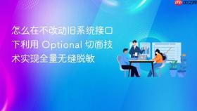 怎么在不改动旧系统接口下利用 optional 切面技术实现全量无缝脱敏