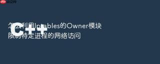 怎么利用Iptables的Owner模块限制特定进程的网络访问