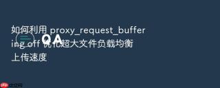 如何利用 proxy_request_buffering off 优化超大文件负载均衡上传速度