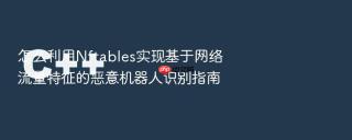 怎么利用Nftables实现基于网络流量特征的恶意机器人识别指南