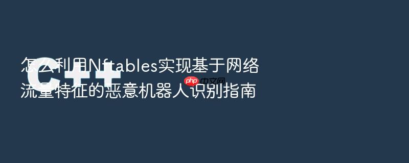 怎么利用nftables实现基于网络流量特征的恶意机器人识别指南
