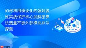 如何利用模块化的强封装性实战保护核心加解密算法变量不被外部模块非法探测