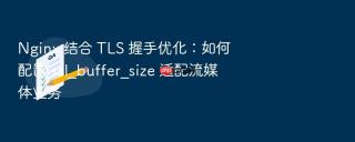 nginx 结合 tls 握手优化:如何配置 ssl_buffer_size 适配流媒体业务
