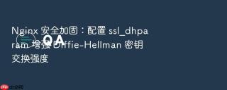 nginx 安全加固：配置 ssl_dhparam 增强 diffie-hellman 密钥交换强度