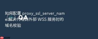 如何配置 proxy_ssl_server_name 解决代理到外部 wss 服务时的域名校验
