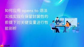 如何应用 opens to 语法实战实现在保留封装性的前提下对关键变量进行性能剖析