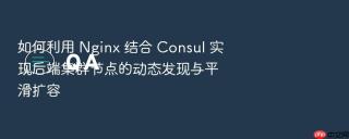 如何利用 nginx 结合 consul 实现后端集群节点的动态发现与平滑扩容