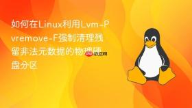 如何在linux利用lvm-pvremove-f强制清理残留非法元数据的物理硬盘分区