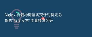 nginx 负载均衡层实现针对特定后端的“灰度发布”流量精准闭环