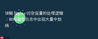 详解 nginx 对空变量的处理逻辑:如何避免日志中出现大量中划线