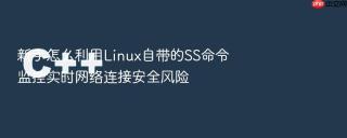 新手怎么利用linux自带的ss命令监控实时网络连接安全风险