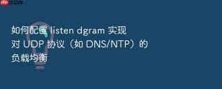 如何配置 listen dgram 实现对 udp 协议(如 dns/ntp)的负载均衡