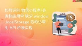 如何识别 微信小程序/各类快应用中 缺少 window.localStorage 后的仿原生 API 桥接实现