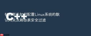 针对新手如何配置Linux系统的默认网关及路由表安全过滤