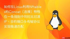 如何在linux利用nftables的concat（连接）特性在一条规则中同时比对源ip、目的端口与传输协议实现极速匹配