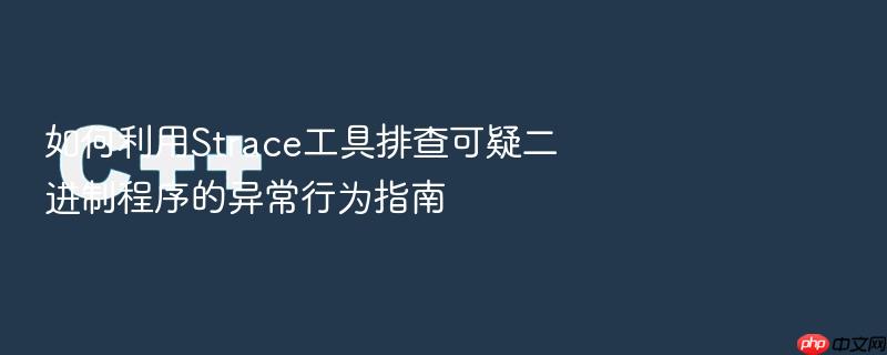 如何利用strace工具排查可疑二进制程序的异常行为指南